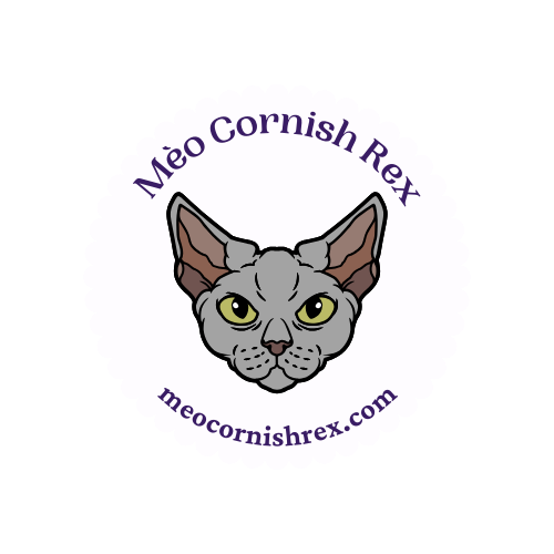 Mèo Cornish Rex